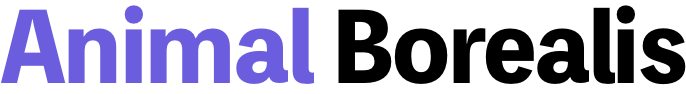 Animal Borealis logo